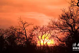 如果你累了，就跟生活请个假吧图片