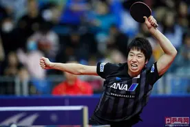 不讨喜的水谷隼，日本队成就最高者，因眼疾退役张本智和挽留不住图片