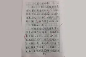 小学生作文《一个人走夜路》火了，老师：错别字有点多图片