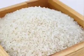 隔夜的米饭能不能吃？不同季节需要不同的处理方式图片