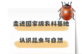 一场走进昆虫王国的旅行！名额有限，抓紧啦！图片