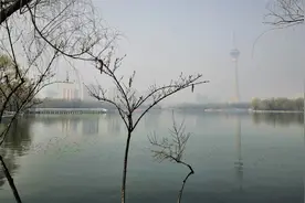 于今腐草无萤火，终古垂杨有暮鸦图片