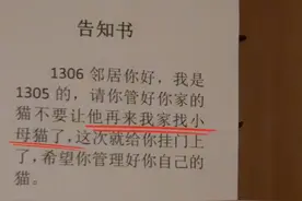 浙江一公猫找邻居母猫过七夕，结果被拎出来挂门上，还贴了告示条图片