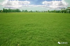 走向我们的小康生活｜九华镇丝渔村：特色种养，跑出脱贫致富“加速度”！图片