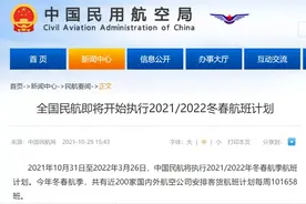 中国国际航班大幅缩减，加航将全面复飞中国，回国咋选择？图片