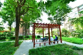 基层之治 | 60多岁的老旧小区“返老还童”啦图片