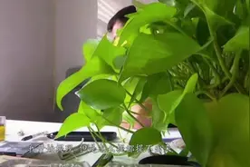 年轻貌美爱旅游，临沂一男子认识这个美女后，代价巨大！图片