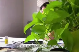 年轻貌美爱旅游，临沂一男子认识这个美女后，代价巨大！图片