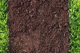 酸性土壤中的速效磷测定方法图片