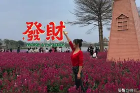 1.58米，一个月由105到95斤，我是这么做的。减肥不一定要大运动图片