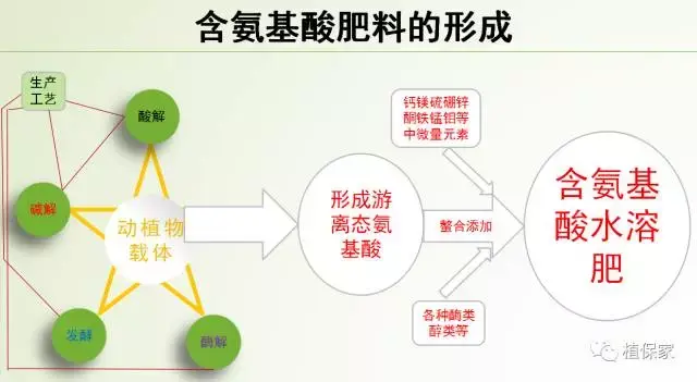腐殖酸、海藻酸、甲壳素、鱼蛋白、氨基酸最权威解释！分清，认清
