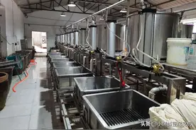 买豆腐机创业靠谱吗？能赚到钱吗？图片