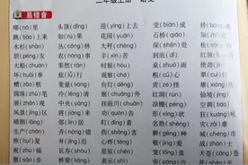 二年级语文期末复习：易错字、多音字、近义词、反义词、成语分类图片