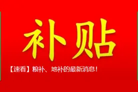 【速看】粮补、地补的最新消息！图片