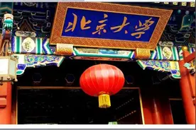 北大硕士辞职公务员，融资800多万跑去当“农民”？图片