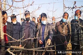 “田间大课”保丰收——西农师生助力春耕农业生产小记图片