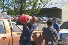 一场关于流浪狗的爱心接力图片