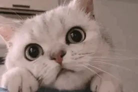 “猛男必看”，一天到晚看的究竟是什么东西？图片