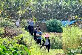 【百个项目大比拼】云霄县云陵镇“转战”滨北新区，打响征迁攻坚战！图片
