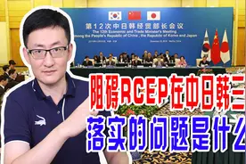 RCEP即将最终落地，阻碍RCEP在中日韩三国落实的问题是什么？图片