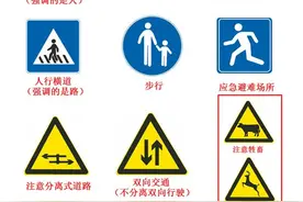 科目一、四易错易混标志标线总结与分析，杜绝看不懂图形！图片