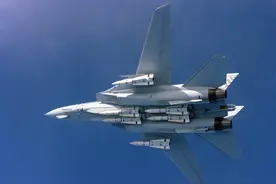 鸟中之王 不死鸟图片