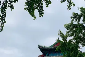曾经失去和未得到的爱情最终会成为我们一生的遗憾图片