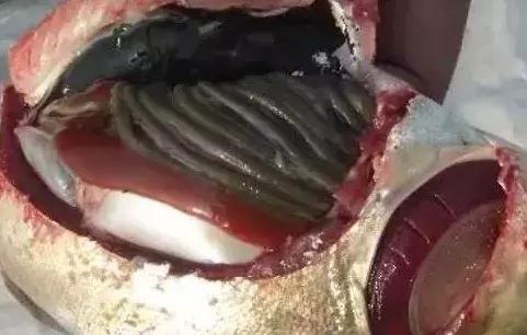 早春肥水提上日程，秘笈在这里！