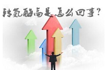 转氨酶是肝脏的“晴雨表”，转氨酶升高就是肝脏出问题了？