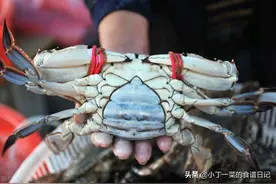 立秋后，梭子蟹最肥美，教你四个小技巧，保证每只蟹黄饱满又好吃图片
