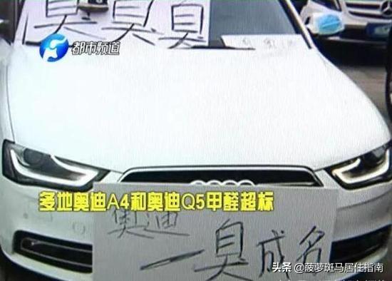 这样除甲醛，便宜又安全