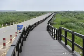 江西九江：“网红”水上公路建起了栈道 为全球最长竹制水上栈道图片
