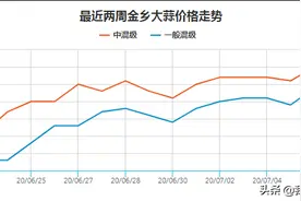 2020年“天量”大蒜去哪了？图片