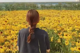 七夕会时尚 | 假发图片