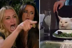 真的很大！海外人传人的meme梗图片