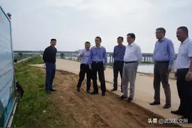 张林书记率队赴童家湖开展巡湖检查，要求加强湖泊日常监管工作，确保防洪大堤平稳度过汛期图片