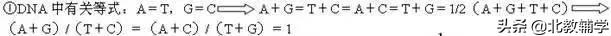 「高考·生物」高中生物重要规律性关系、公式精华汇总