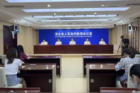 今年上半年，湖北省外贸总值2448.6亿元，进出口连续15个月同比实现正增长图片