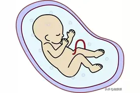 宝宝需要做胎儿心脏超声检查吗？安贞医院专家告诉你！图片