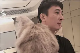 网红孙一宁发王思聪聊天记录，男方舔狗情话曝光疑因追求不遂报复图片