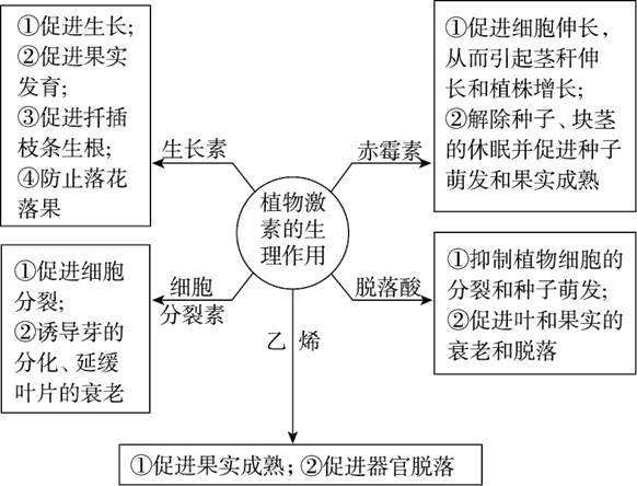 那些你不知道的事——含氨基酸肥料在转色上的应用