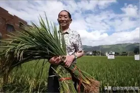 国际四大粮商欲想垄断中国粮食产业最终铩羽而归，我们靠的是什么图片