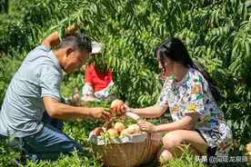 连续六年，全省第一！图片