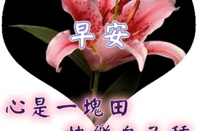 微信最美春天早晨好问候表情动态图片 早上好问候语图片大全图片