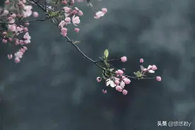 单身人士，都是通过这样的方式解决生理和心理需要，别不好意思图片