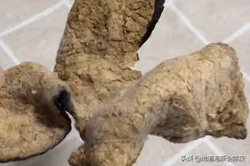 新会陈皮发霉了怎么办？图片