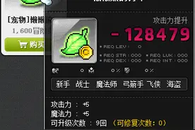 冒险岛荣耀活动宠物装备打造介绍图片