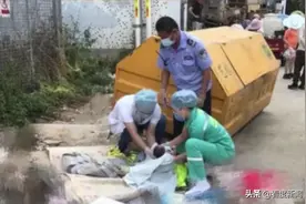 丈夫称想生儿子的愿望破灭，新生女婴被遗弃垃圾桶，第三胎女儿就“养不起？”图片