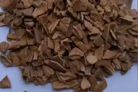 3种壳不要扔，花盆里丢一点，疏松又透气，养啥都长得旺图片