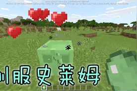 史莱姆也能驯服当宠物，只有喂他们吃史莱姆球，我的世界动画教程